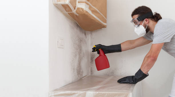 Professional Black Mold Removal technician working in Lawrence Township, NJ