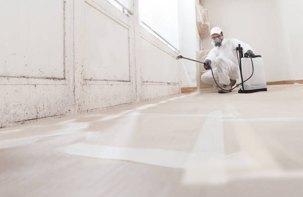 24/7 Emergency Black Mold Removal experts in Lawrence Township, NJ
