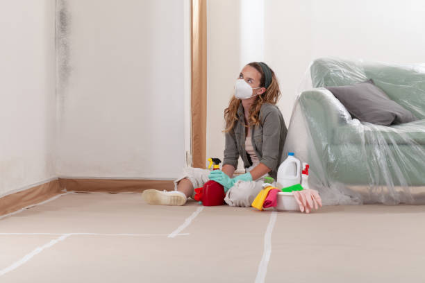 Reliable Black Mold Removal contractor in Lawrence Township, NJ by WQB Mold Removal